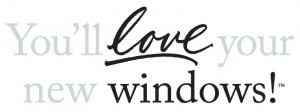 Love your new window logo