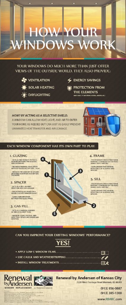 Infographics: How Your Windows Work