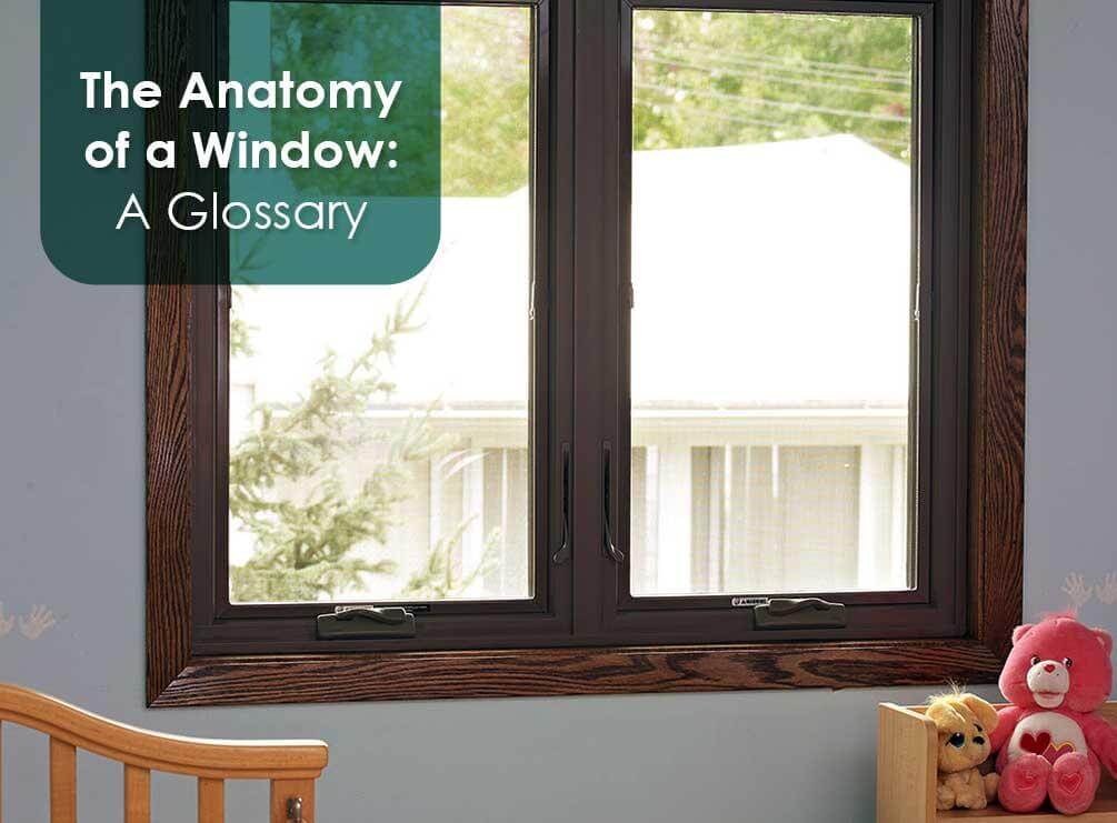 Anatomy Of A Window